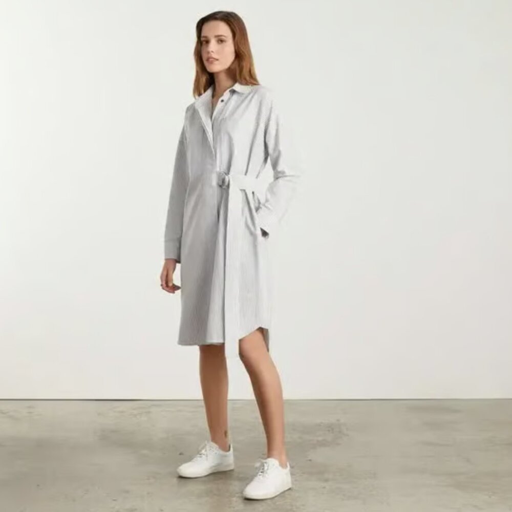 NWOT! Everlane Striped Asymmetrical Long Sleeves Oxford Shirtdress XS
